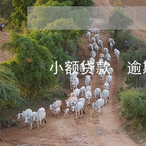 小额贷款 逾期利息 小额贷款 逾期利息